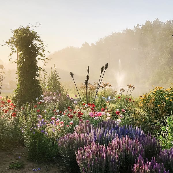 Flower Gardens at Farm Fresh Florals