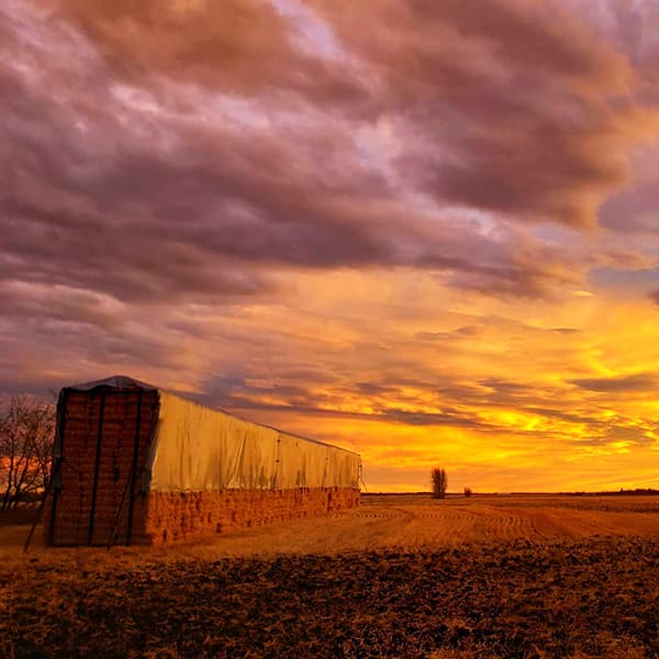 Photo Credit: Janet Stamper (IG - janet.stamper)