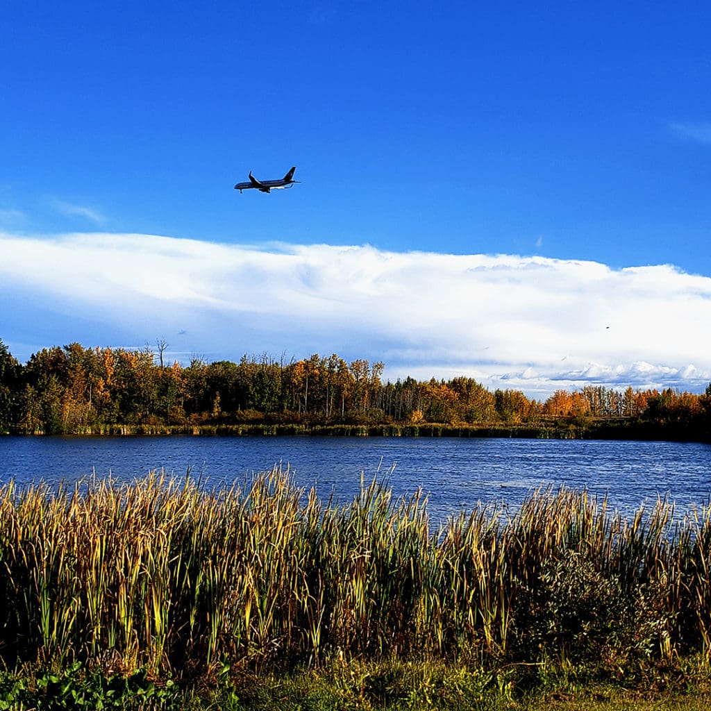 Autumn Hikes Around Telford Lake (Photo Credits: Janet Stamper | IG - janet.stamper)