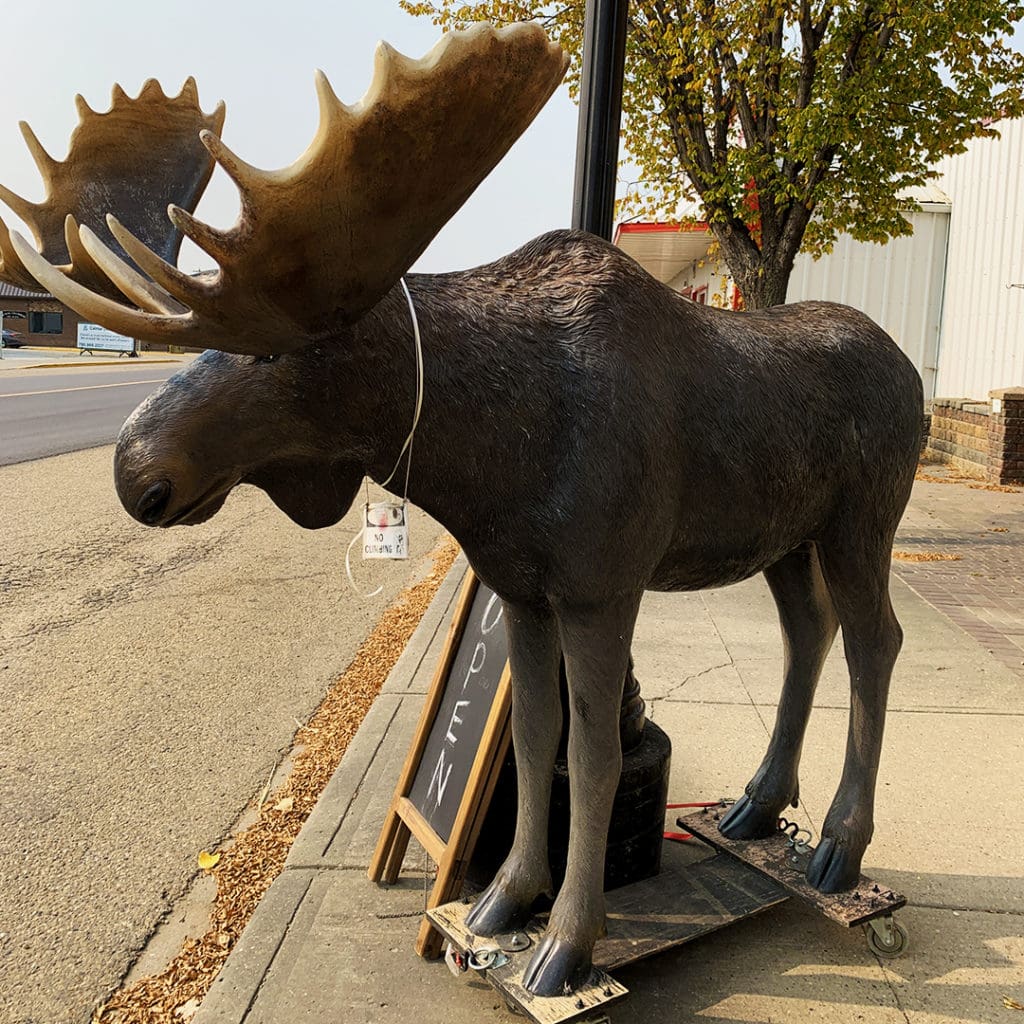 Calmar's Moose on Main Street (Photo Credits: Michelle Levasseur)
