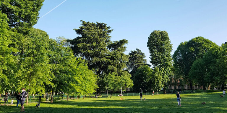 Alder Centennial Park 768x384