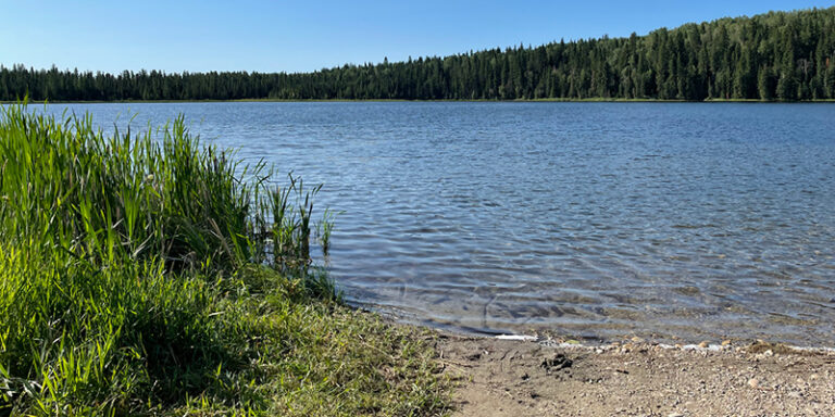 Twin Lakes 768x384