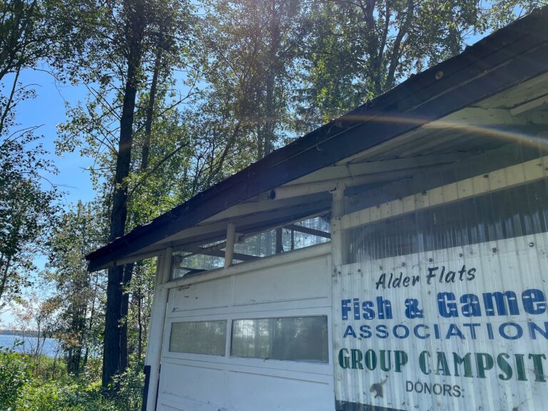 AlderFlats FishGame 768x576