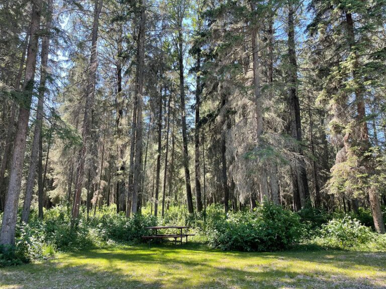 AlderFlats FishGame4 768x576